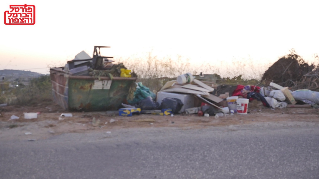 פורטל הכרמל