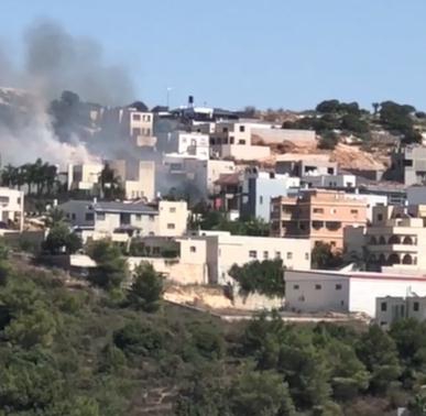 פורטל הכרמל