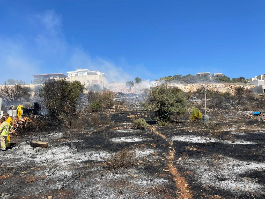 פורטל הכרמל