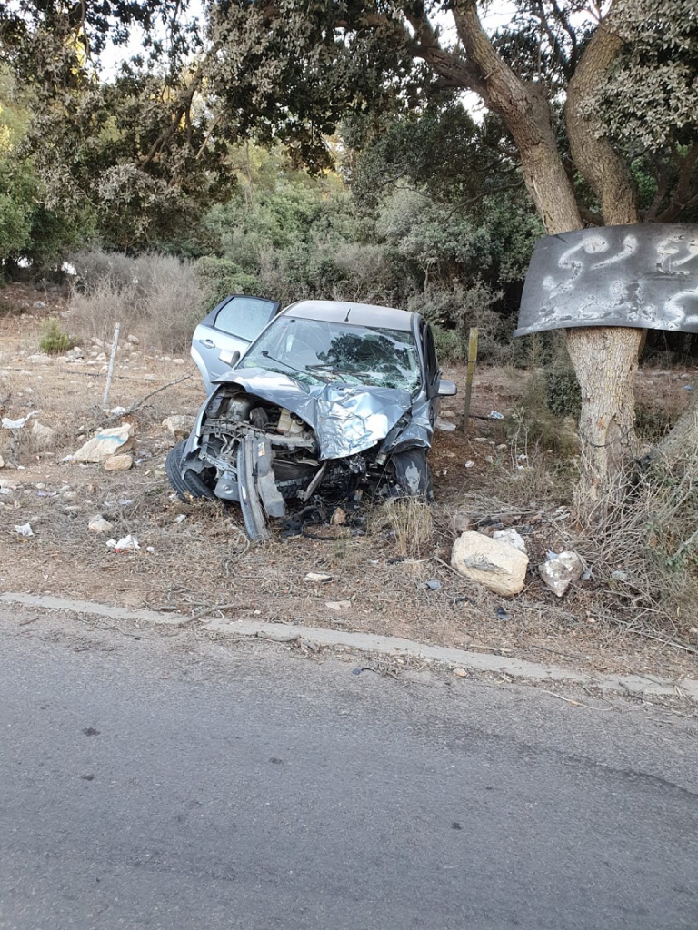 פורטל הכרמל