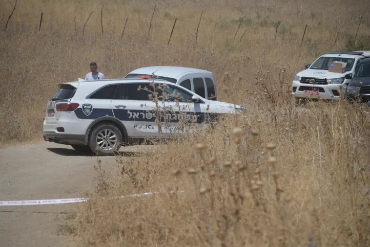 ירידה במקרי רצח נשים ועלייה ברצח אימהות