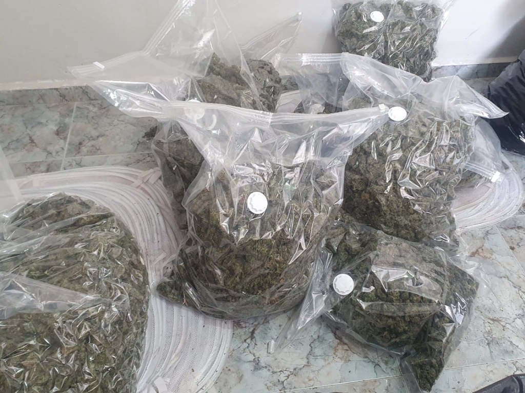 פורטל הכרמל