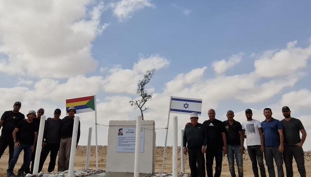 פורטל הכרמל