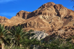 מסרון מפרשת בלק של השבוע