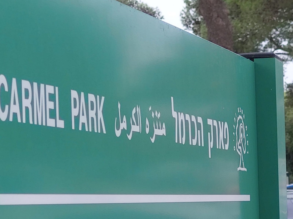 פורטל הכרמל