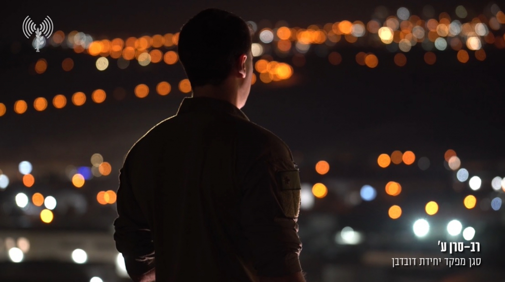 פורטל הכרמל