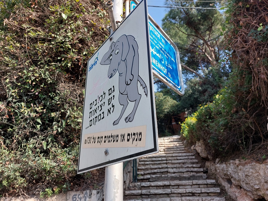 זמנהוף יוצר שפת האספרנטו המתאימה גם כיום לאינטרנט כשפה בינ"ל