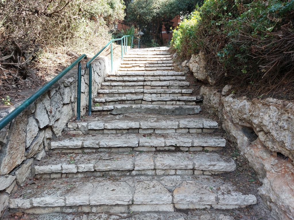 פורטל הכרמל