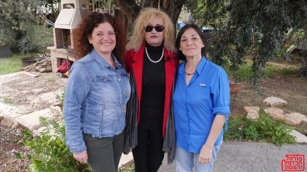 פורטל הכרמל