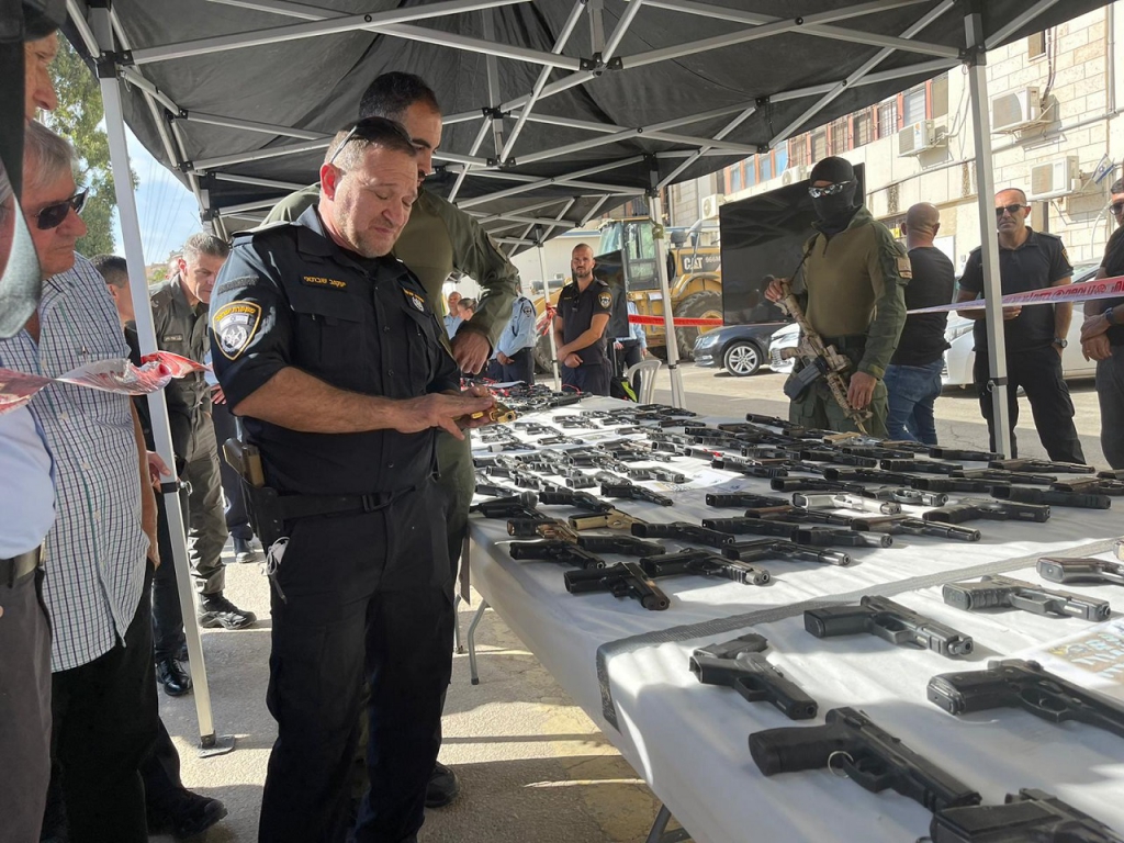 פורטל הכרמל