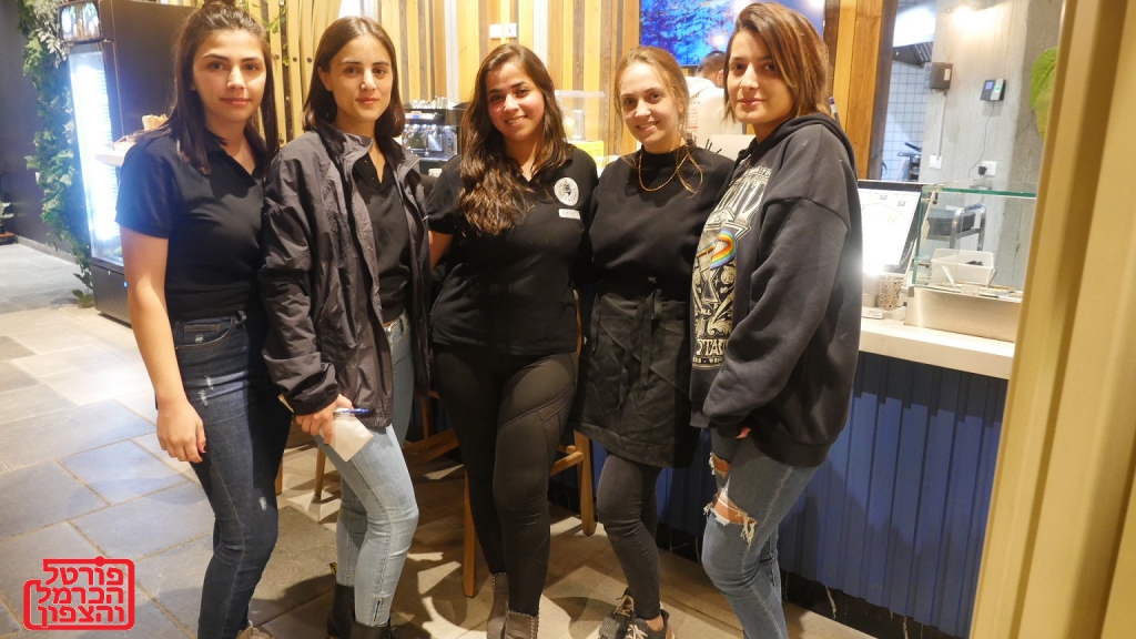 פורטל הכרמל