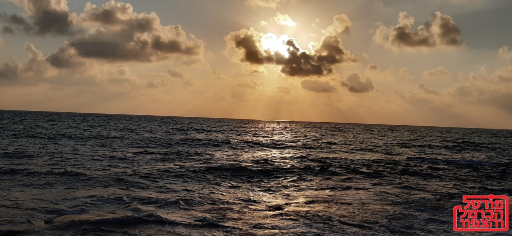 התרעות נרחבות על צונאמי ברוסיה יפן וארה"ב