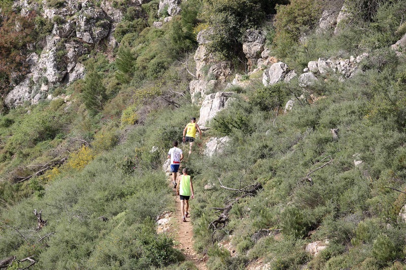 פורטל הכרמל