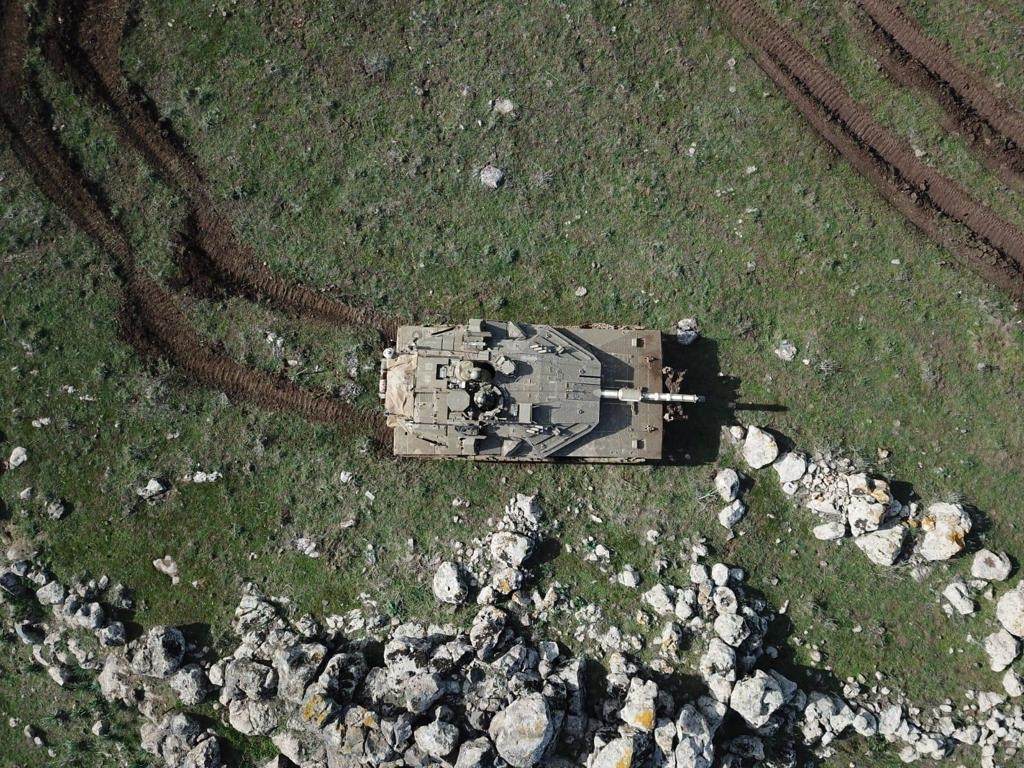 פורטל הכרמל