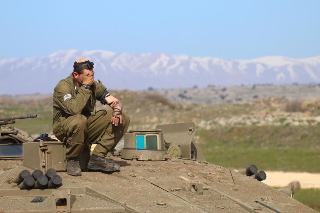 פורטל הכרמל