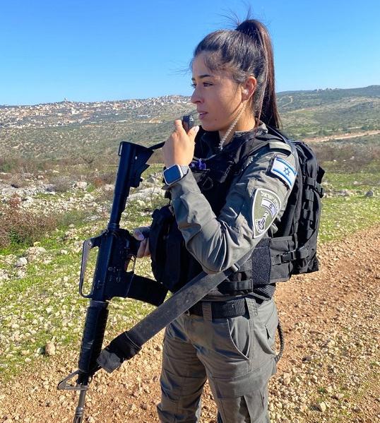 פורטל הכרמל