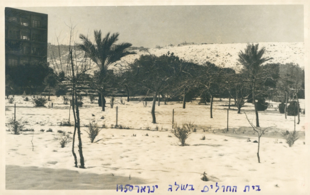 פורטל הכרמל