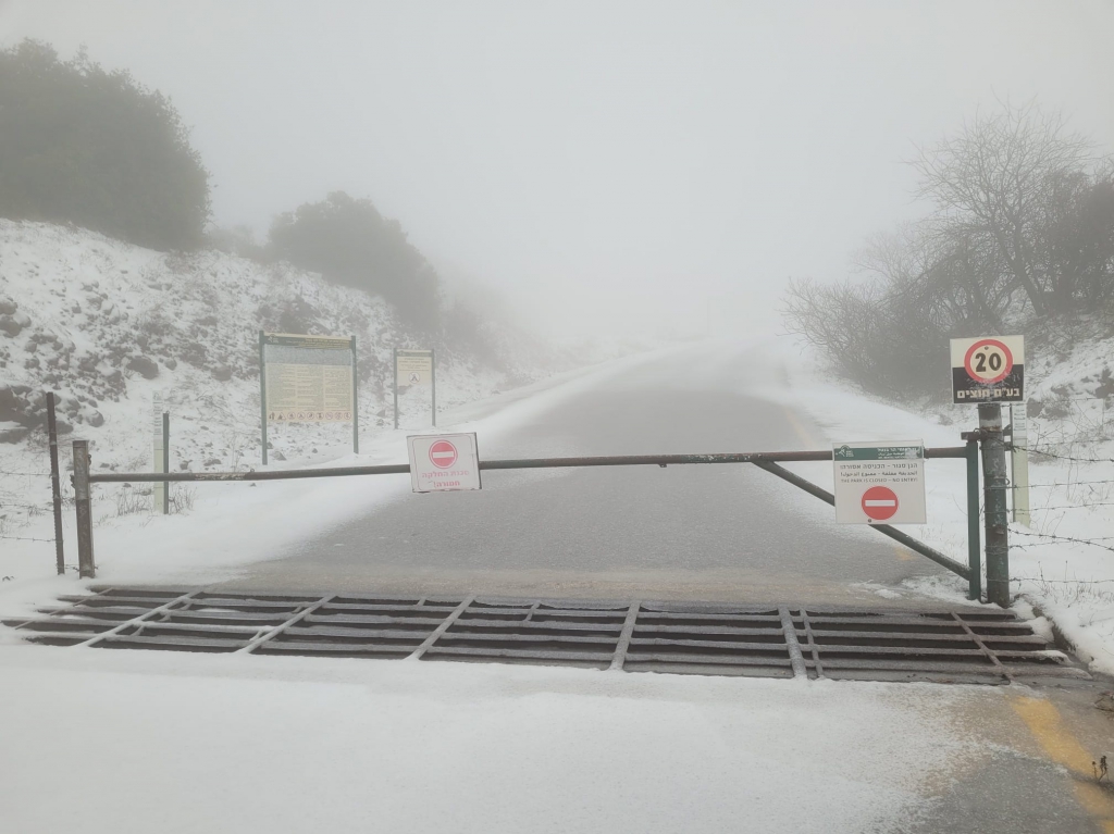 פורטל הכרמל