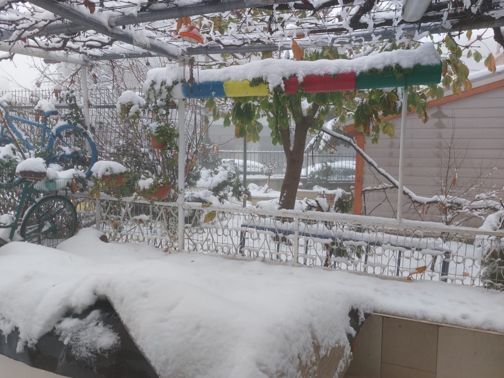 פורטל הכרמל