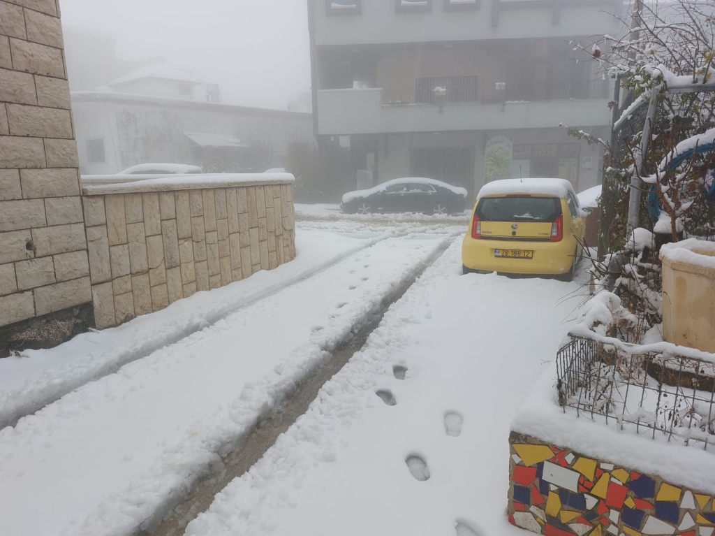 פורטל הכרמל