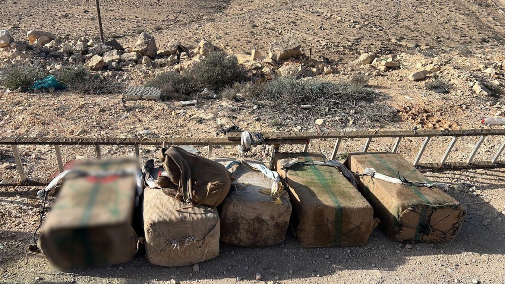 מפקד פיקוד דרום ביקר במצרים