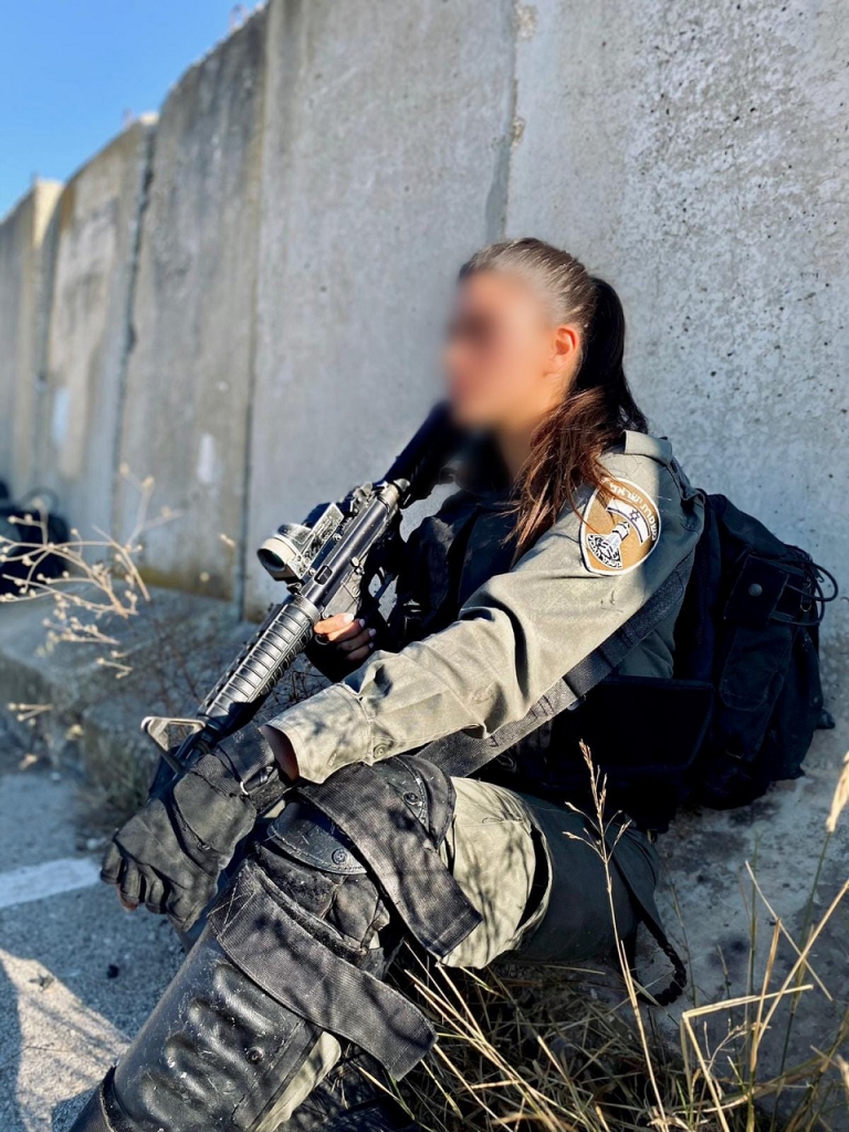 פורטל הכרמל