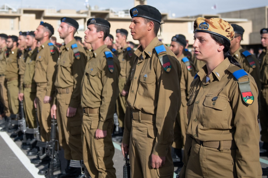 פורטל הכרמל