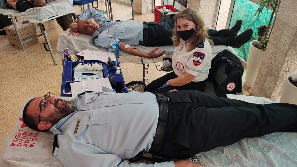 פורטל הכרמל