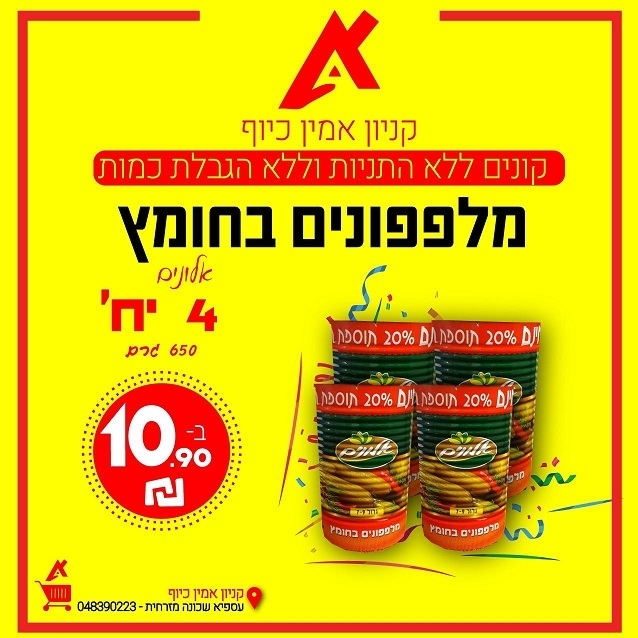 פורטל הכרמל