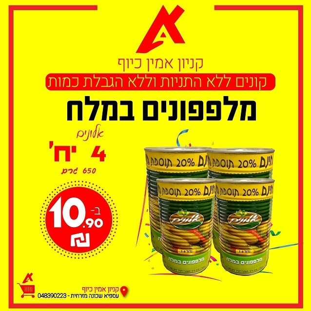 פורטל הכרמל