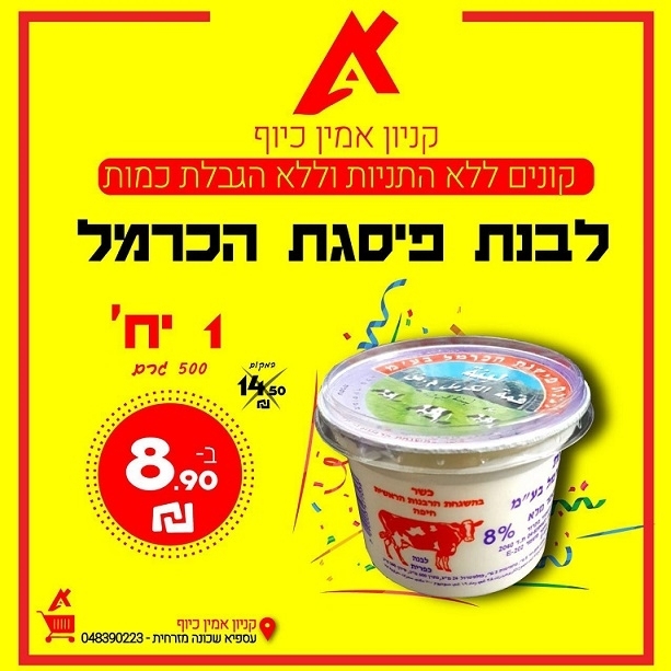 פורטל הכרמל