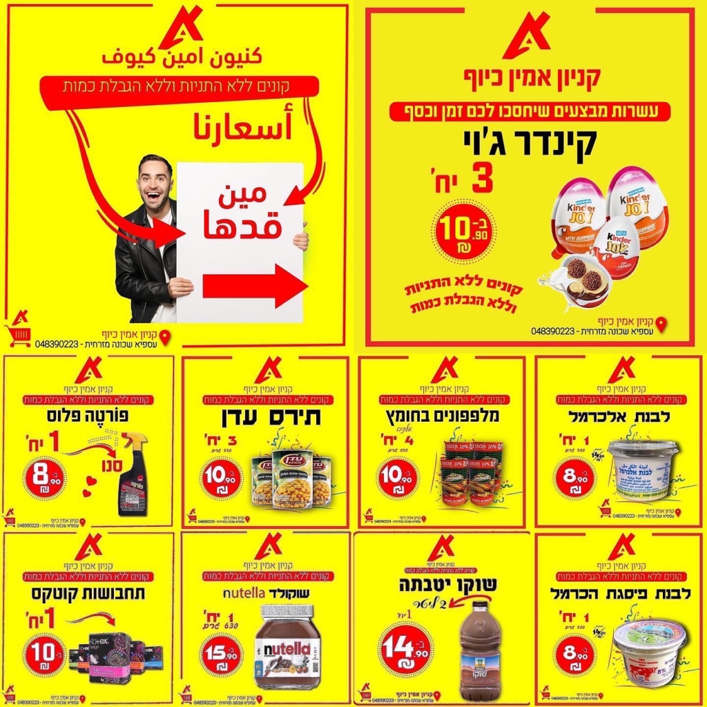 פורטל הכרמל
