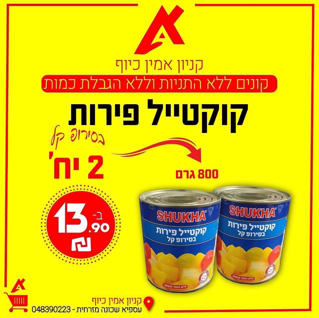 פורטל הכרמל