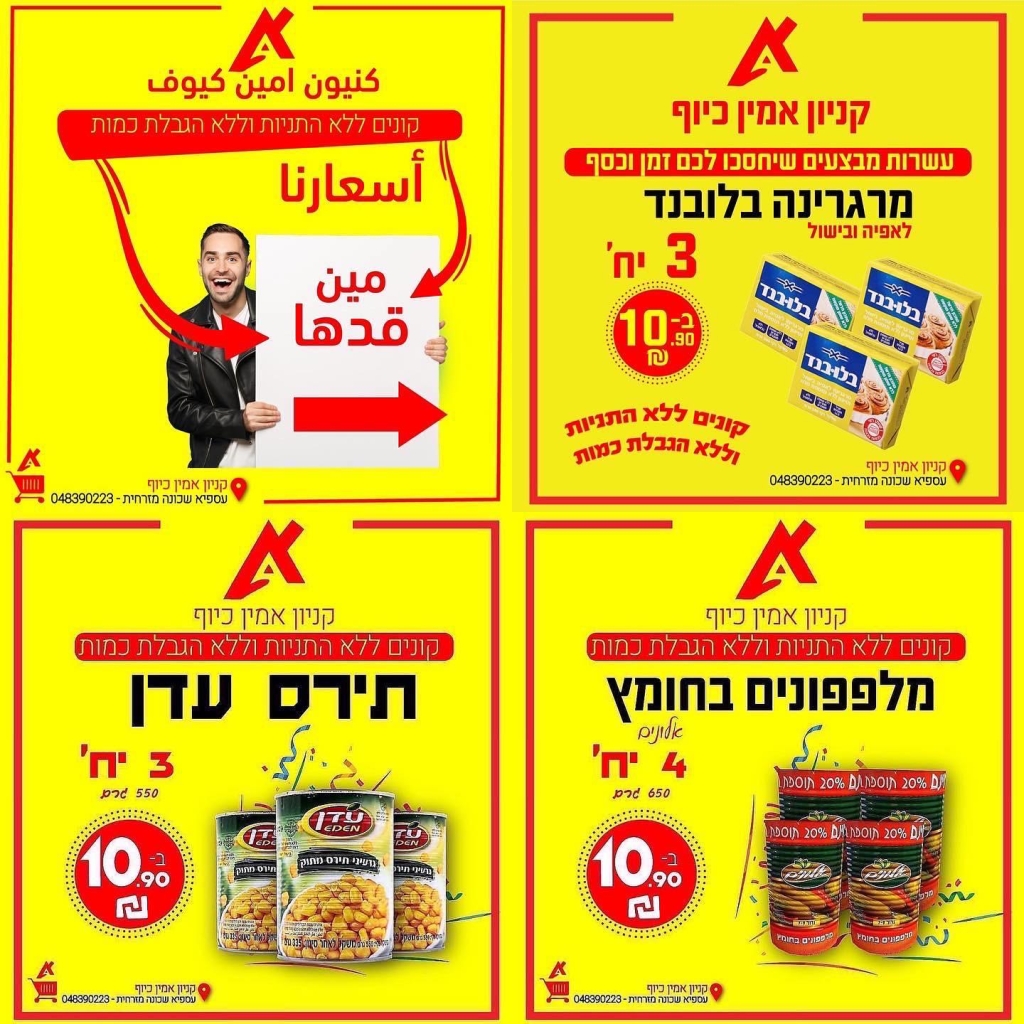 פורטל הכרמל