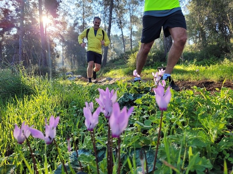חצי מרתון התבור יתקיים ביום שישי 29.4.22