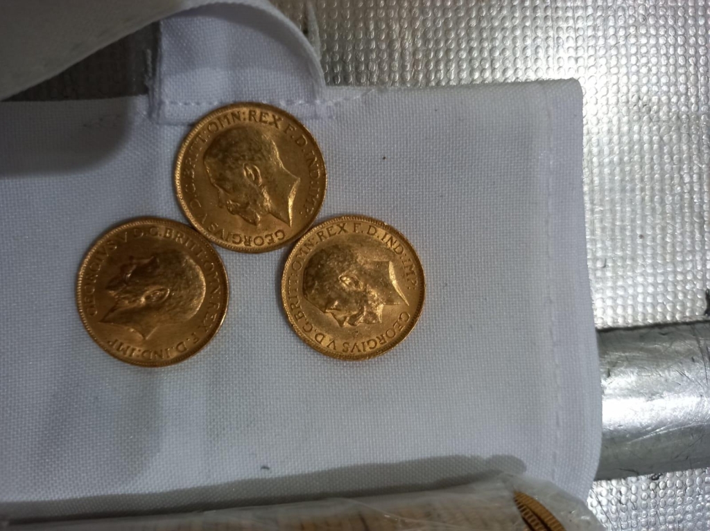 פורטל הכרמל