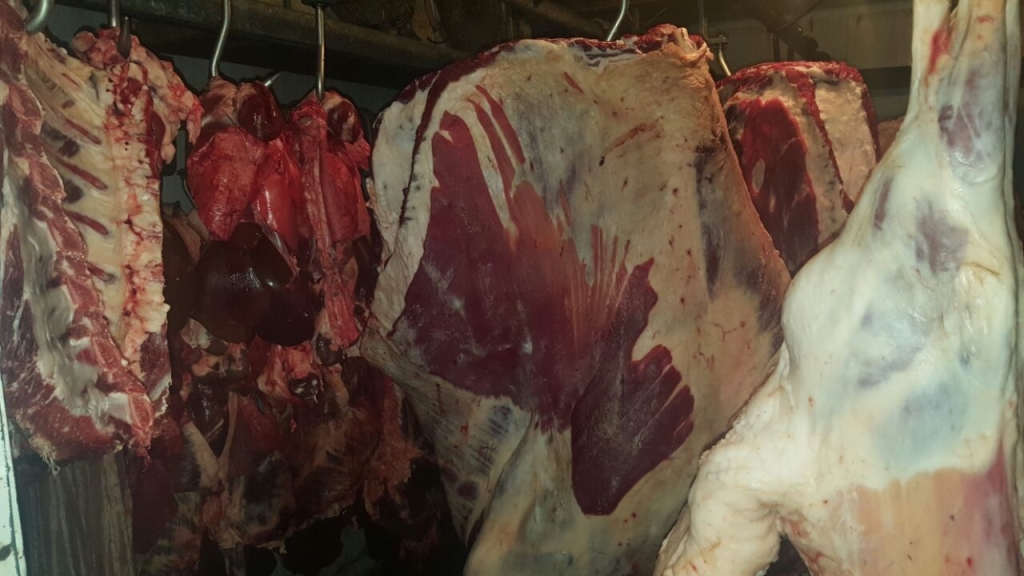 צריכת הבשר בקרב אזרחי ישראל