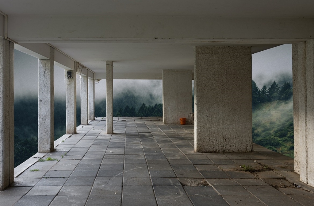 פורטל הכרמל