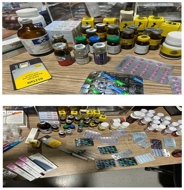 פורטל הכרמל