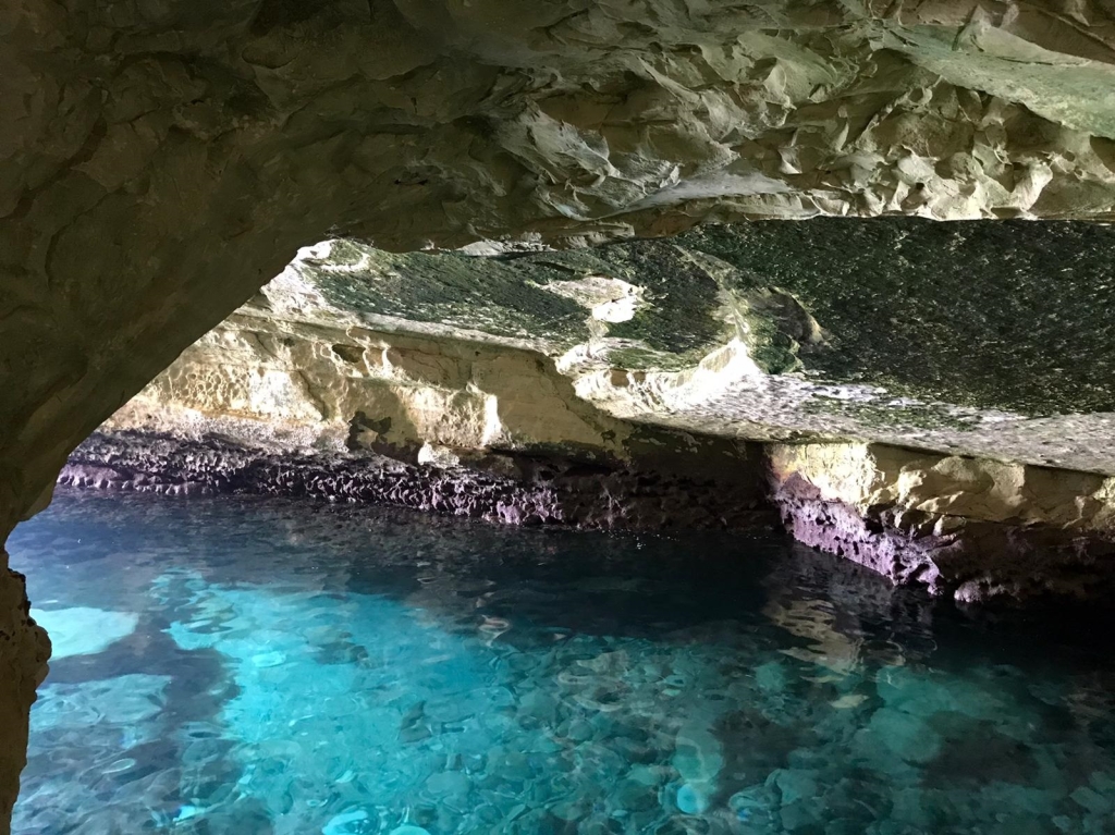 פורטל הכרמל