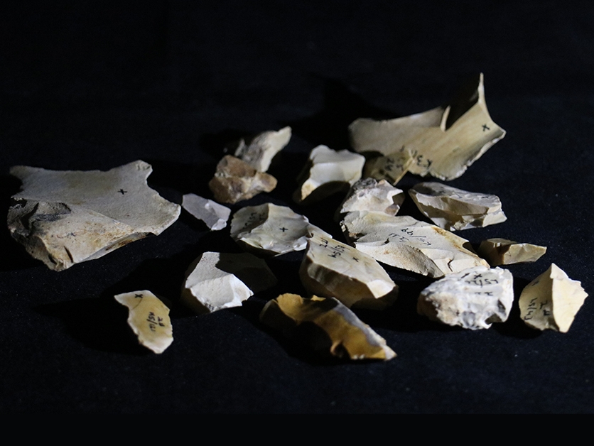 ראיות נדירות לשימוש באש בגליל לפני יותר מ-800 אלף שנה