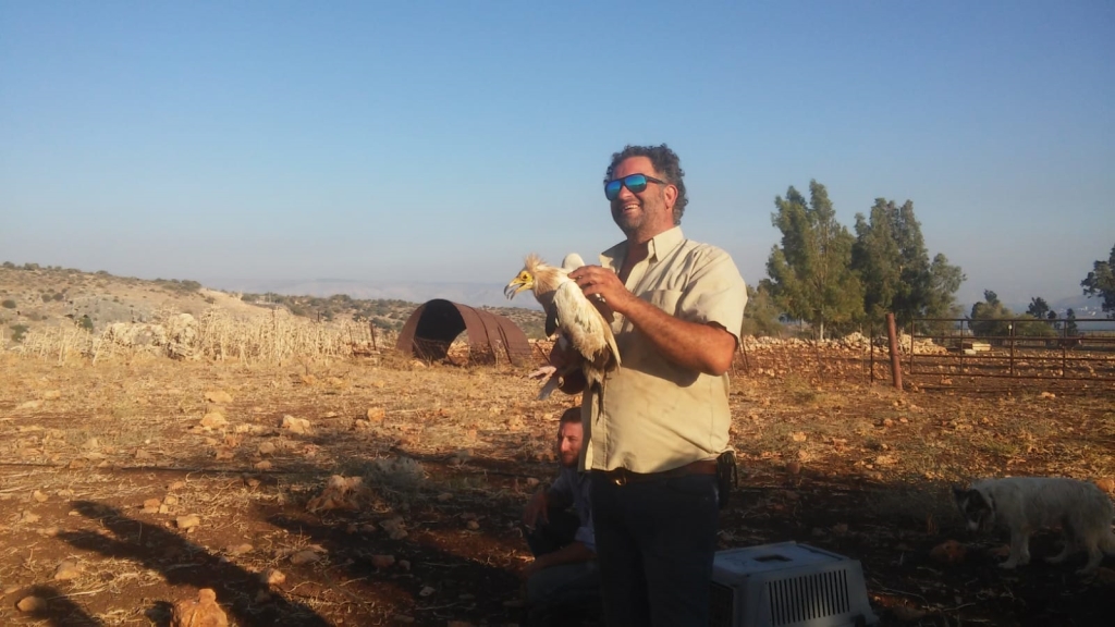 פורטל הכרמל