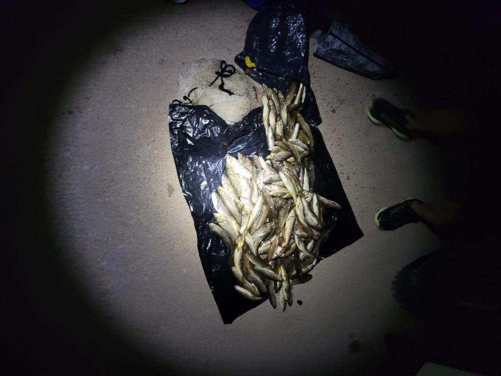 פורטל הכרמל