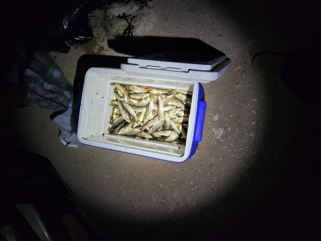 80 ק״ג דגים נדוגו בשמורת עין חרדלית