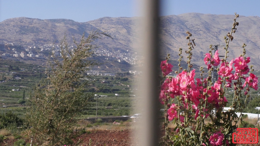 התבססות איראנית בכפר הדרוזי הסורי חדר סכנה לאזור