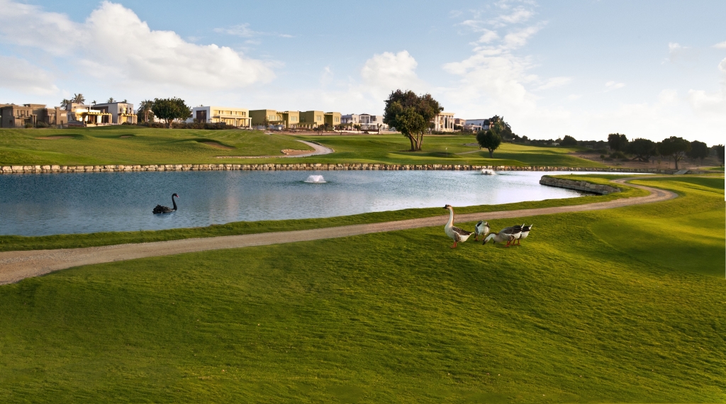 פורטל הכרמל