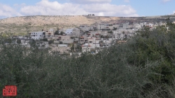 לידה טבעית ולא טבעית בקרב דרוזיות