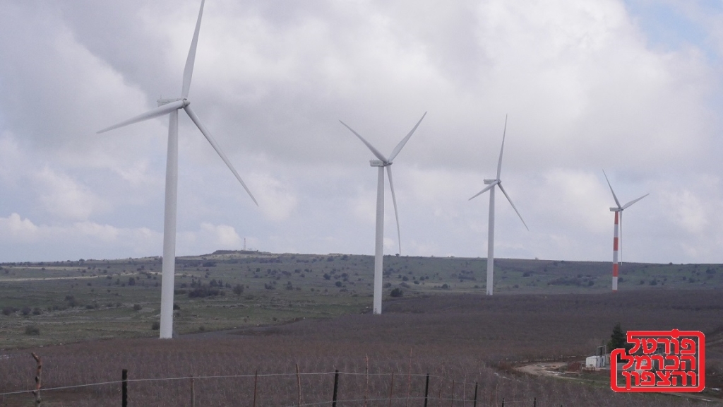 פורטל הכרמל