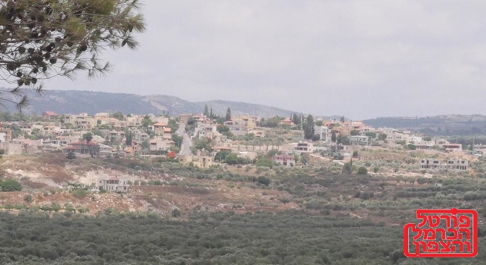 ג'וליס במבט כלכלי חברתי