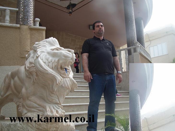 פורטל הכרמל